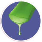 Supports Mobility